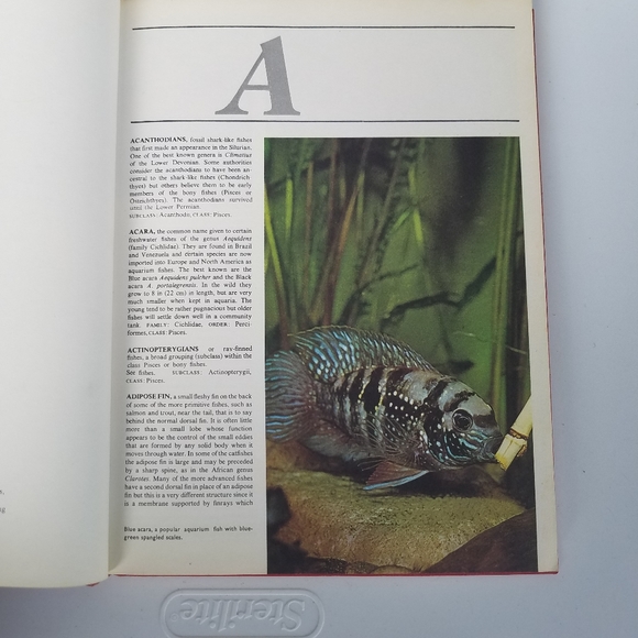 The World of Fish 1975 Peebles Press editor John H - Picture 12 of 16